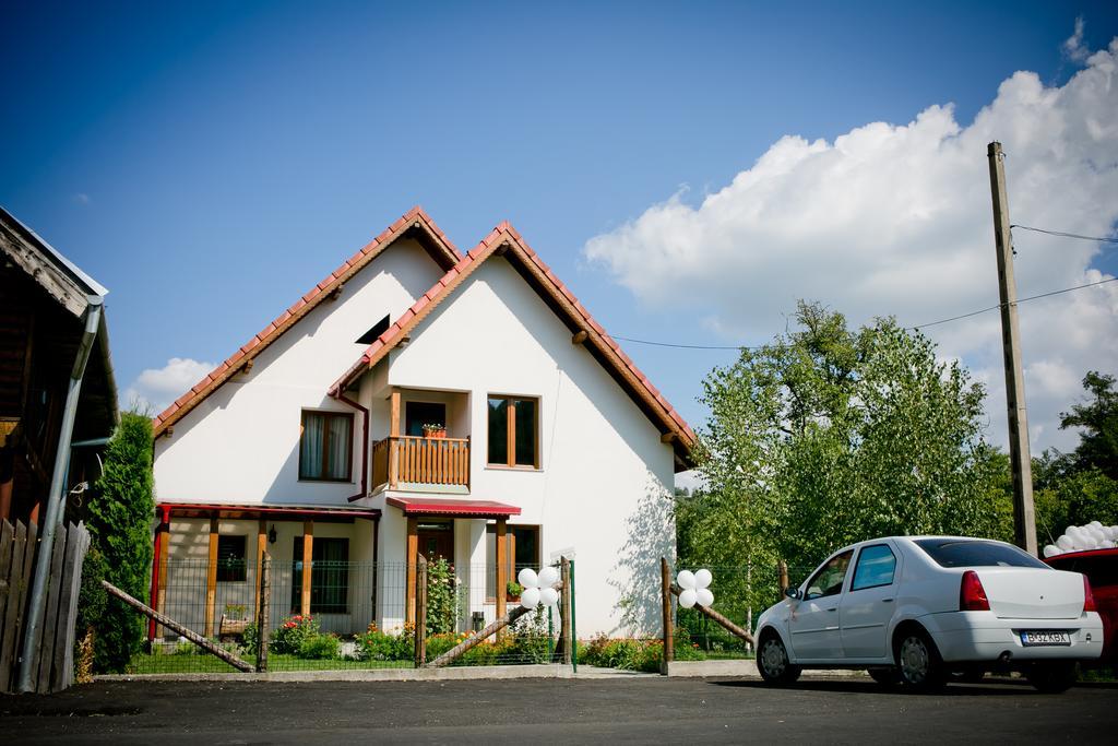 Conacul De Sub Munte Villa Novaci-Straini Exterior photo