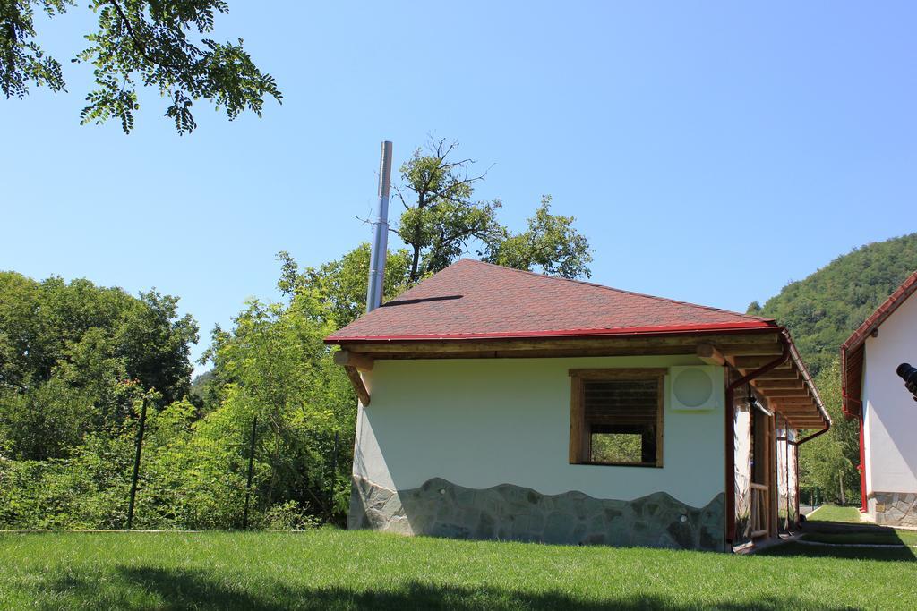 Conacul De Sub Munte Villa Novaci-Straini Exterior photo